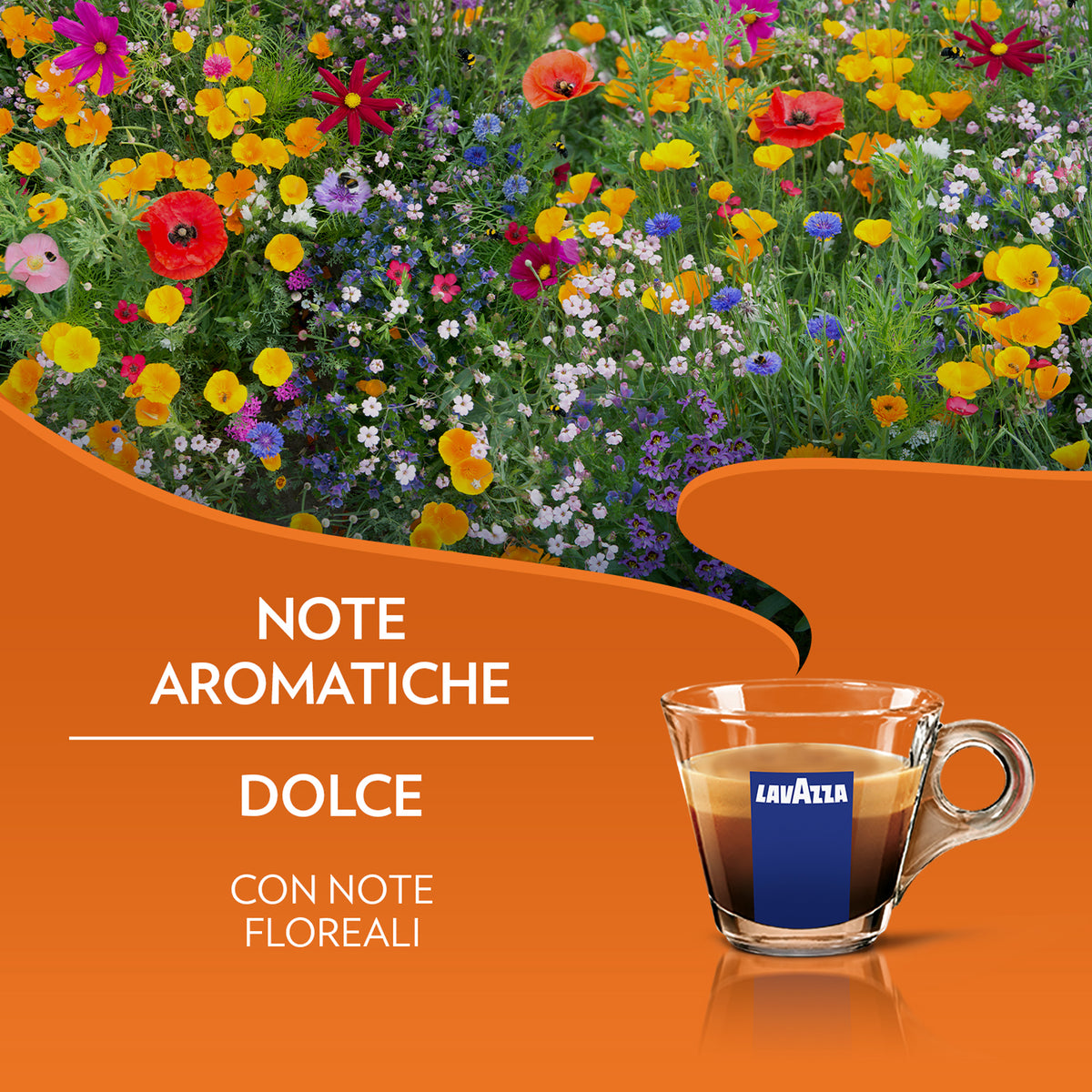 Délicieux café Lavazza compatibles A MODO MIO
